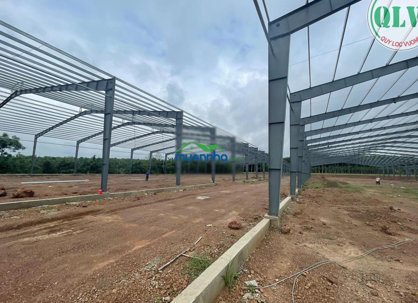 Cho thuê nhà xưởng mới xây dựng diện tích 7.350m2 ở phước hòa, phú giáo, bình dương