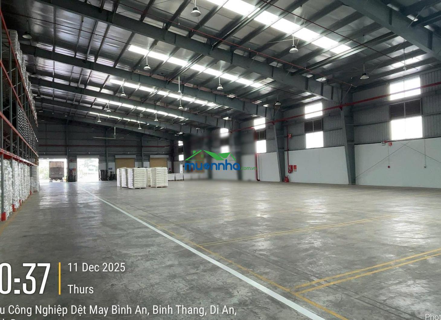 Cho thuê kho, kho linh hoạt, cfs, tại kcn dệt may - 3