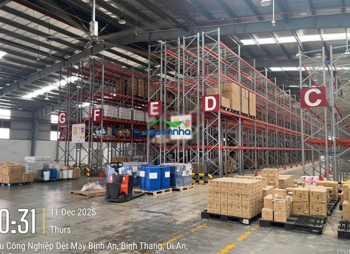 Cho thuê kho, kho linh hoạt, cfs, tại kcn dệt may