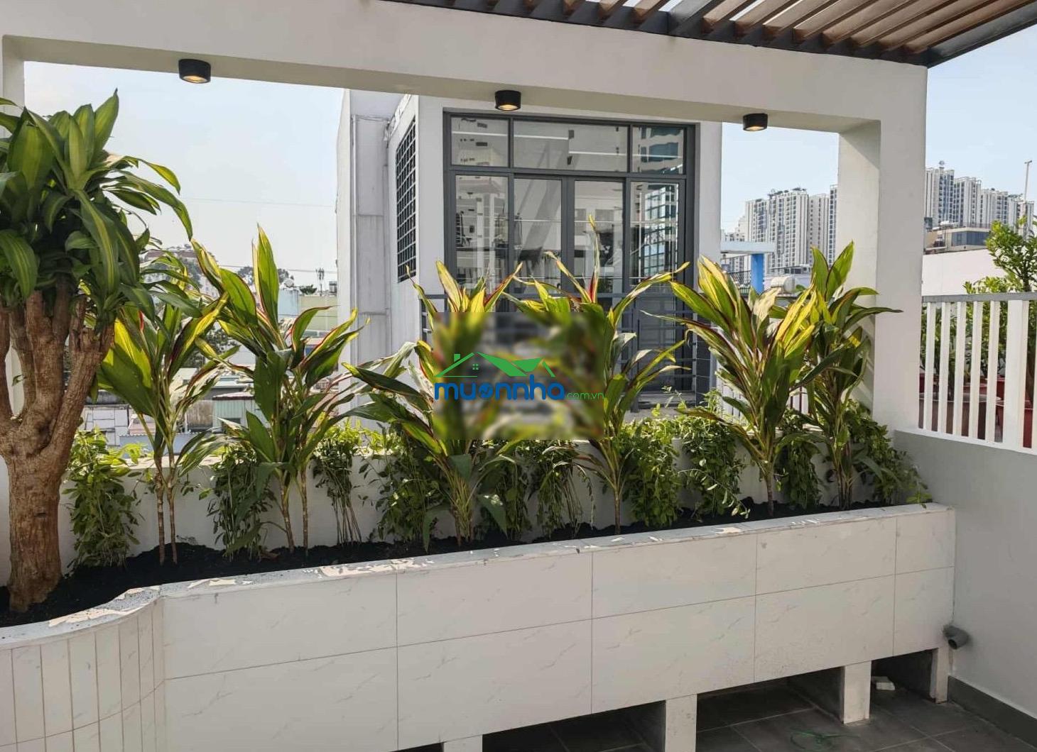 Vị trí vàng nguyễn đình chiểu phường bàn cờ (quận 3 cũ) hẻm 4m chuẩn 1 trục 5 tầng - 4