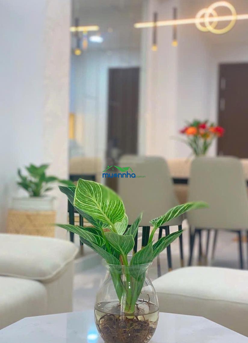 Bán căn hộ 3pn full nội thất cao cấp ngay vincom dĩ an