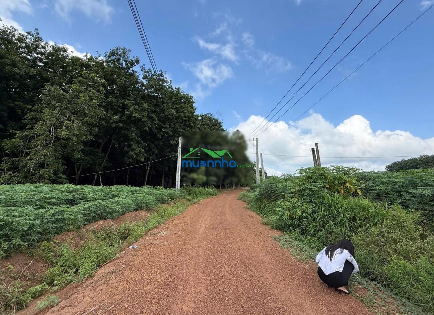 Đất sào hcm - 1230m2, cách đường huyện lộ 32m vào chỉ 700m, ngang 12m trên đất sẵn cây, giá: 800tr