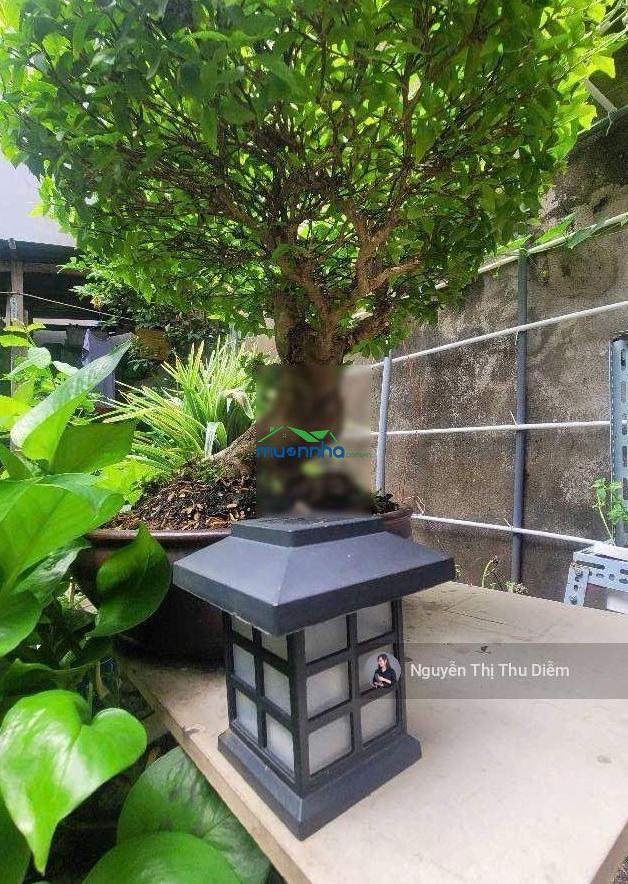Chính chủ 50 năm - bình thạnh - sát landmark 81 - 120 m² - tương lai ra mặt tiền - sổ nở hậu - 2