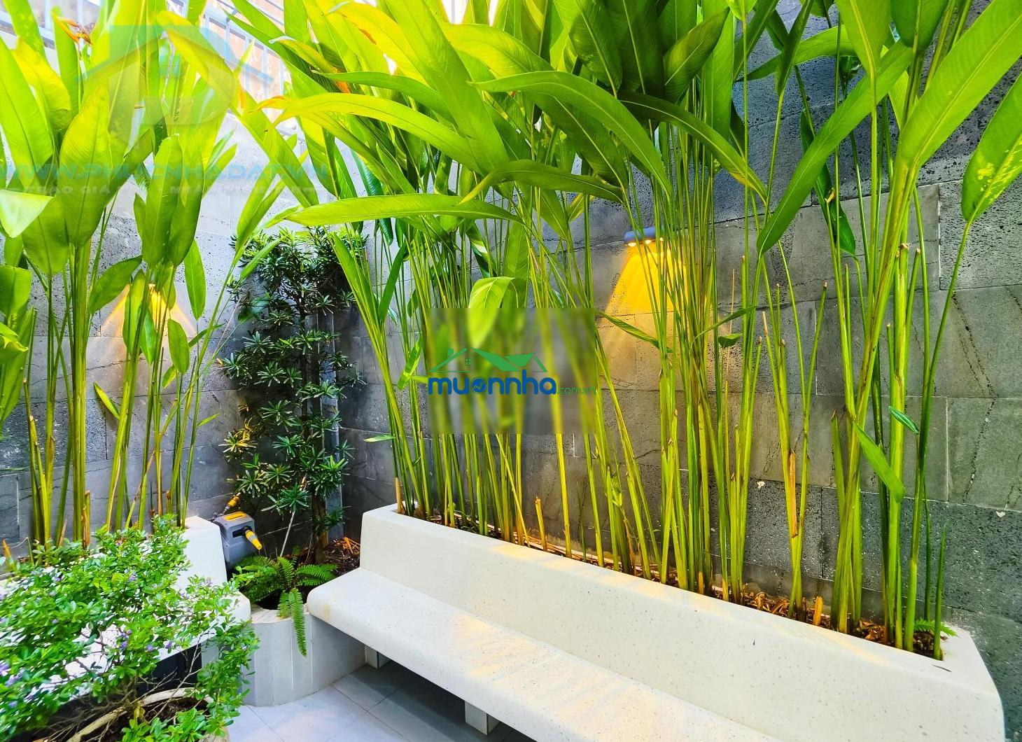 Căn duy nhất còn sót lại, ngang 5m có thang máy, bước 1 bước ra công viên quận 7 - giá 17.5 tỷ