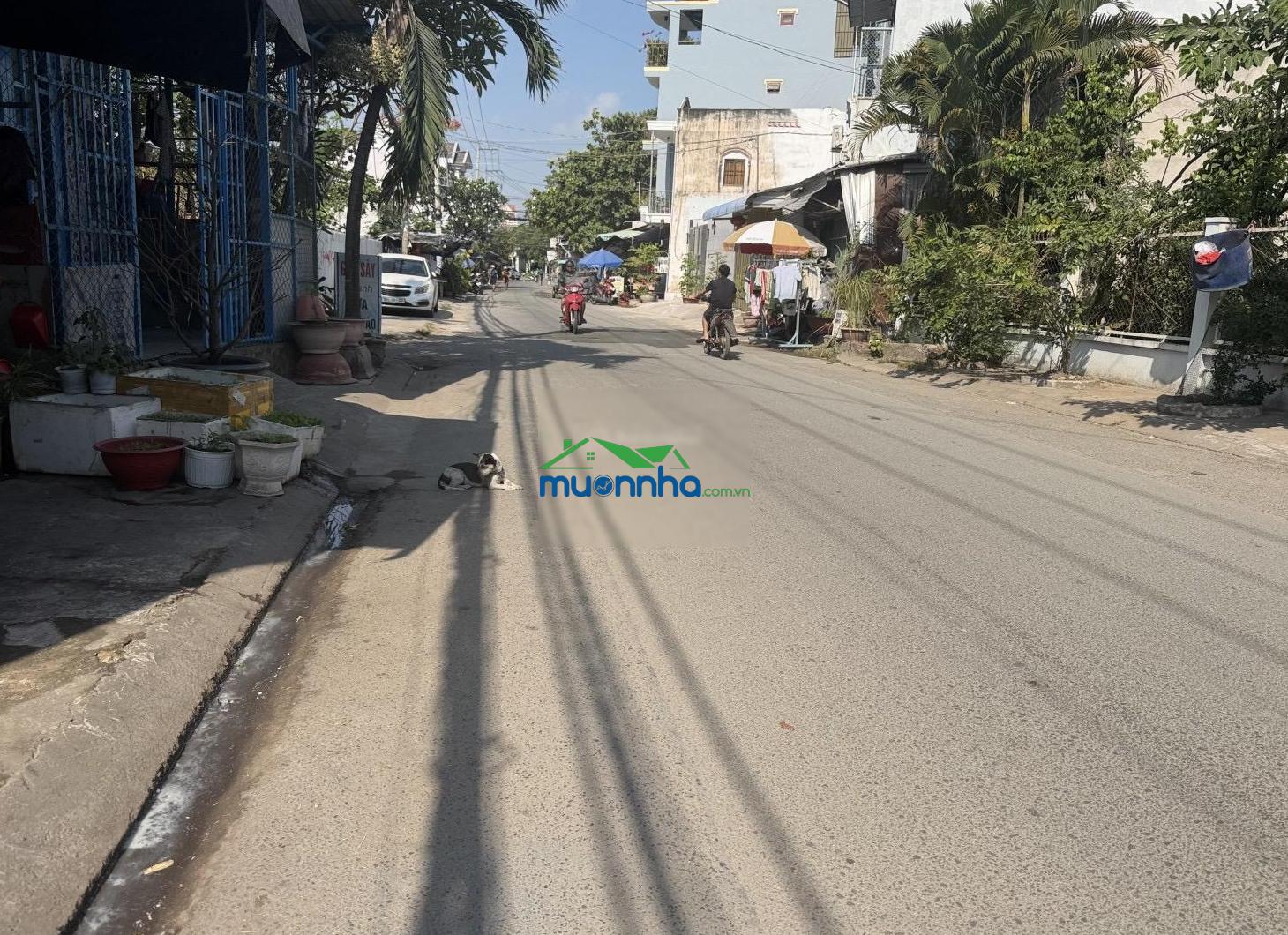 Bán đất kèm nhà c4 còn ở tốt, đường nhựa 8m sổ hồng riêng vuông vứt chỉ hơn 3 tỷ lh 0939 415 *** - Ảnh 2