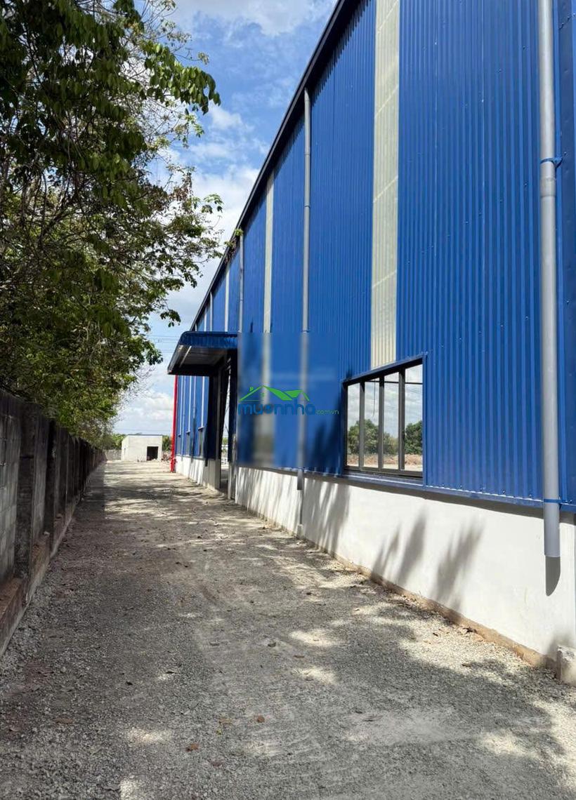 Cho thuê kho xưởng hơn 6000m2 pccc tự động tại bình dương