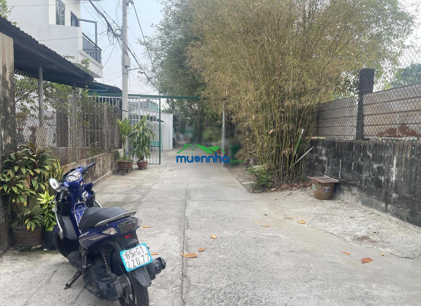 Nhà đất lớn hiếm rẻ 9x20m vuông vức nguyễn văn bứa - ngay ngã 4 ql 22. khu vực đang phát triển mạnh - 2
