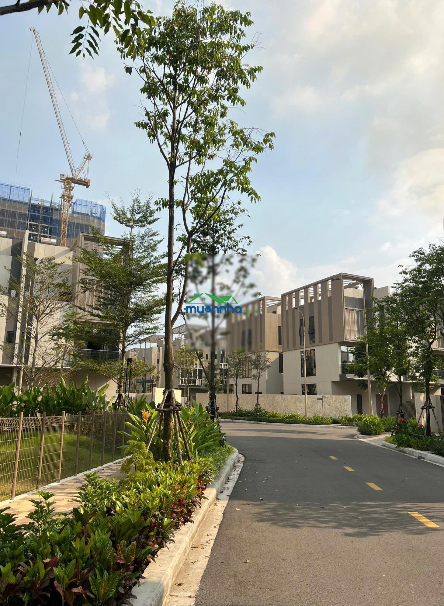 Bán biệt thự the orchard, giá chỉ 93 triệu/m2. diện tích đất 222m2. lh 0909 427 ***