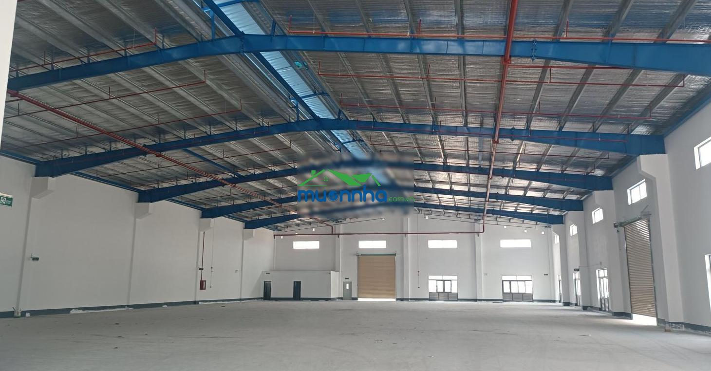 Cho thuê kho xưởng 5000m². giá 2.8 đô/1m². tại long nguyên/ bàu bàng/ hcm. lh 0934 794 *** mr long - 2