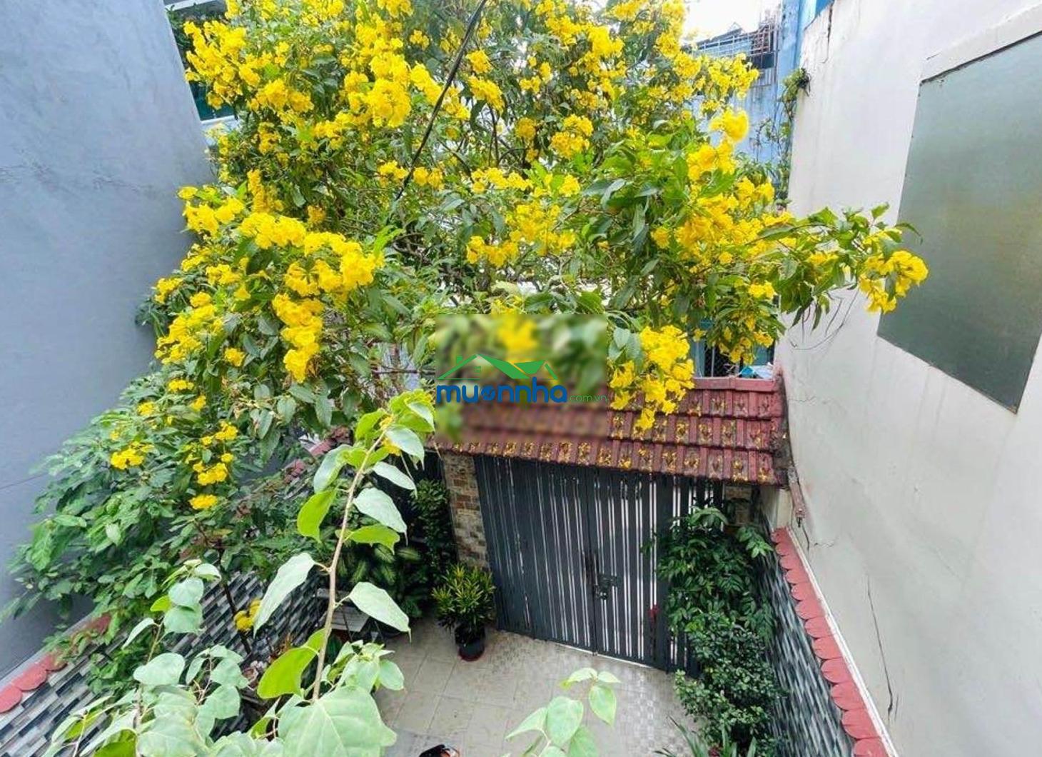 Nhà 1 đời chủ, gấp bán. dt 5.4 x 18m. vị trí đẹp, hẻm xe hơi gần mặt tiền. - Ảnh 3
