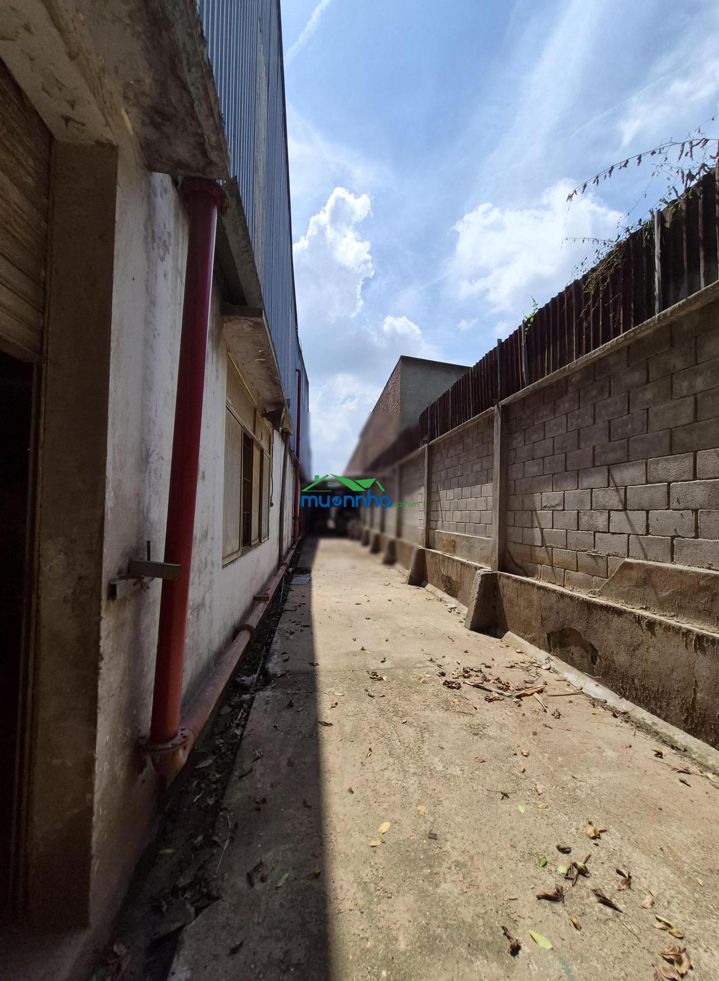 Cho thuê 10000m2 nhà xưởng tân hiệp hcm phù hợp nhất đa nghành nghề - 2