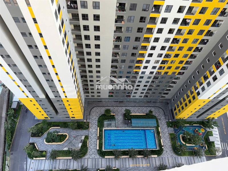 [Cam kết giá thật] ch emerald cho thuê giá ưu đãi 6.2tr 6 tháng đầu 