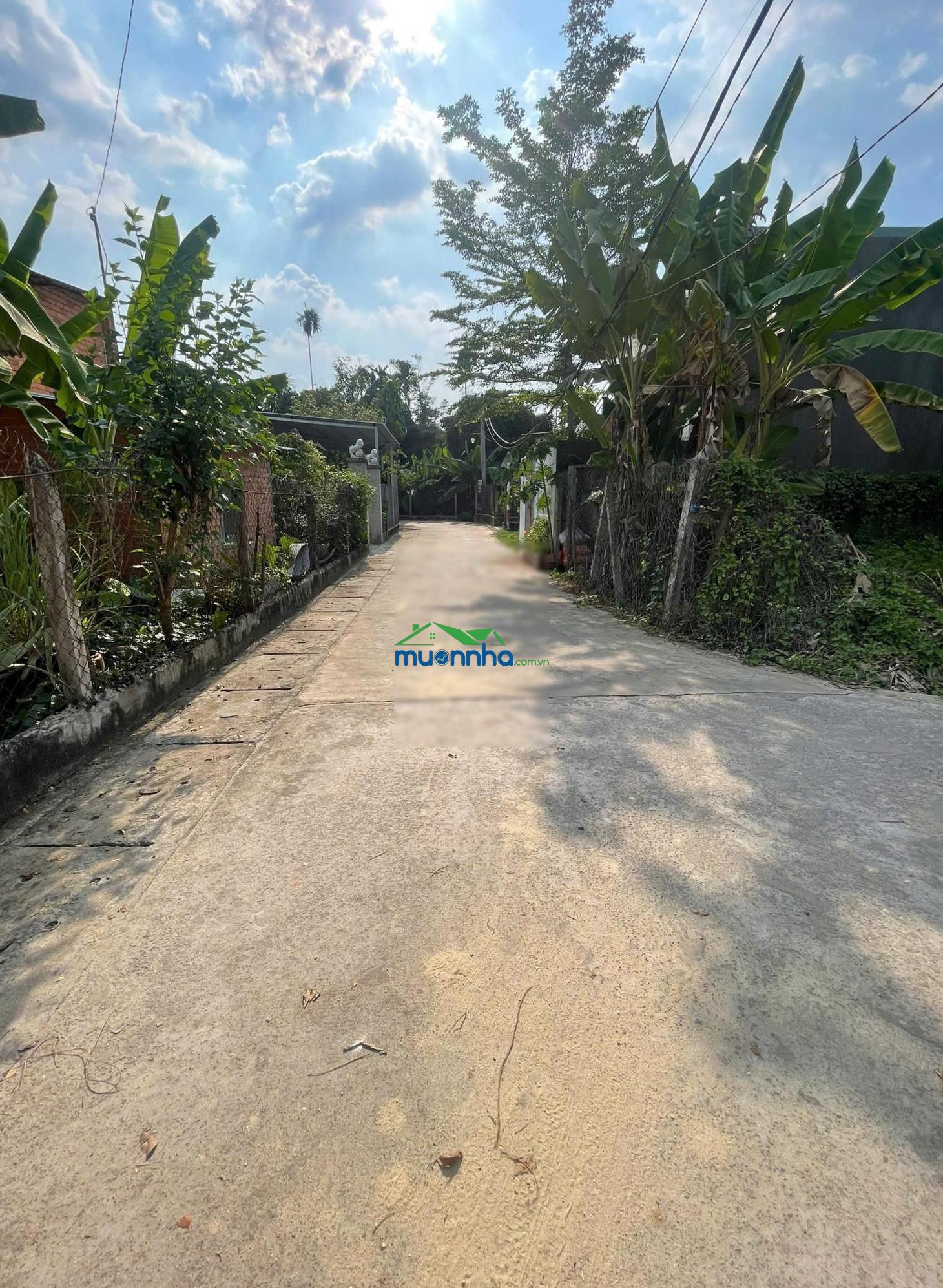 Chính chủ cần bán lô góc phường phú an, tphcm (tân an - bd cũ) - 74,1m2