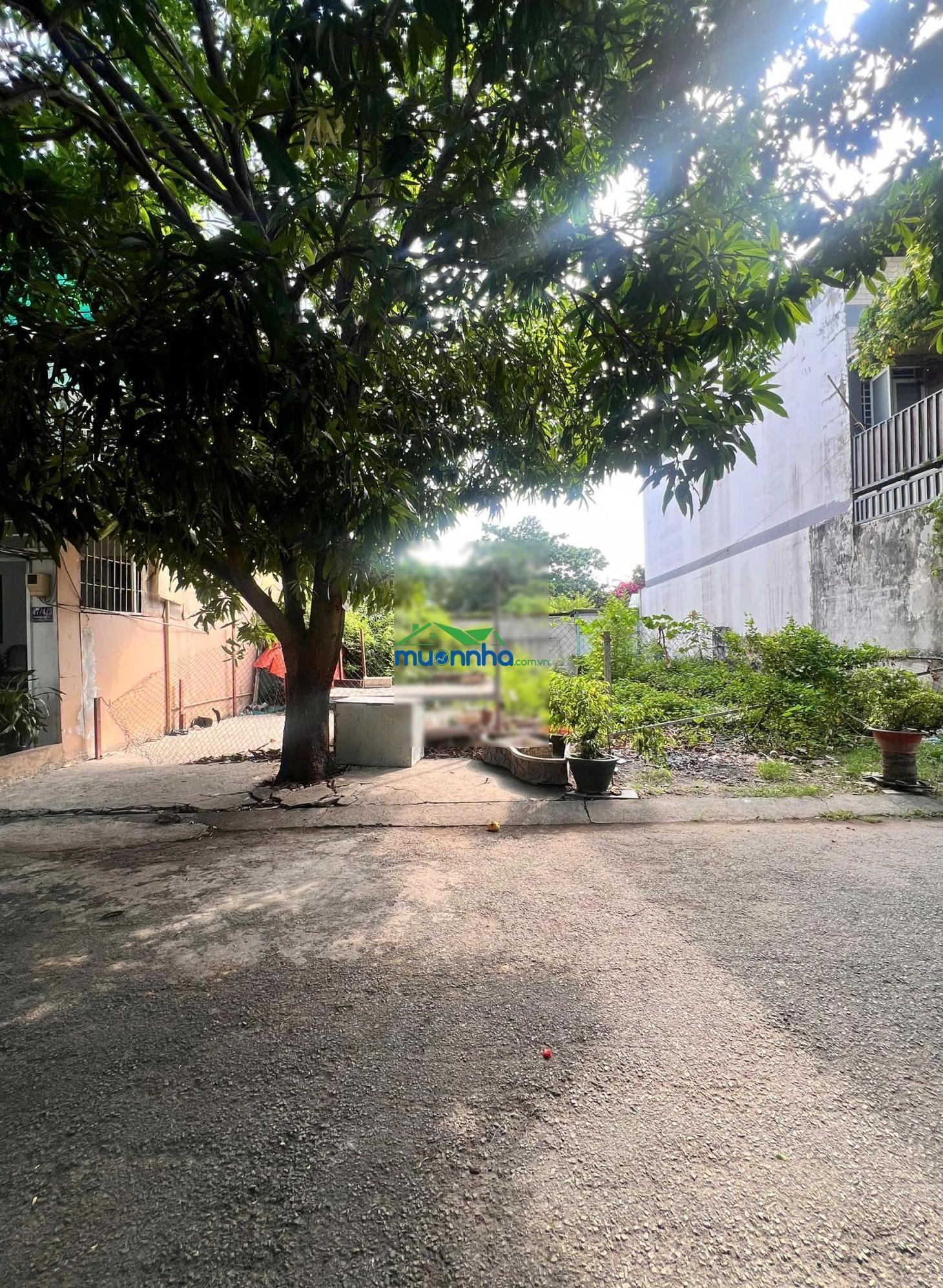 Siêu hiếm! 200m2 đất biệt thự bên sông - chỉ 15 tỷ - xây dựng cao - vị trí đẹp