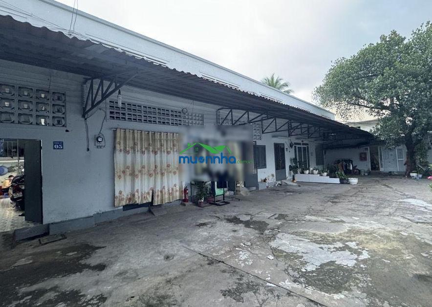 Quỹ nhà đất 1000m có nhà 3t/100tr/tháng gần khu vui chơi đầm sen giáp q6, q11 - 3
