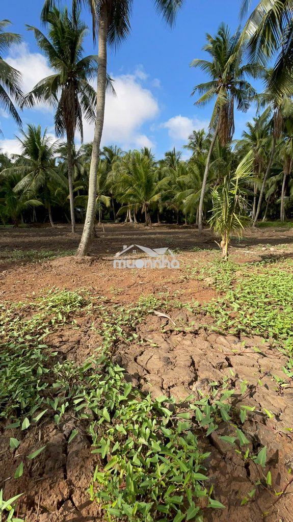 Thổ cư + gần bến phà bình ninh 🌻🌈 diện tích: 729m2 sẵn 100m2 thổ - 3