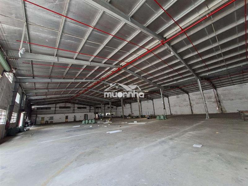 Cho thuê kho xưởng ở dĩ an gân thủ đức