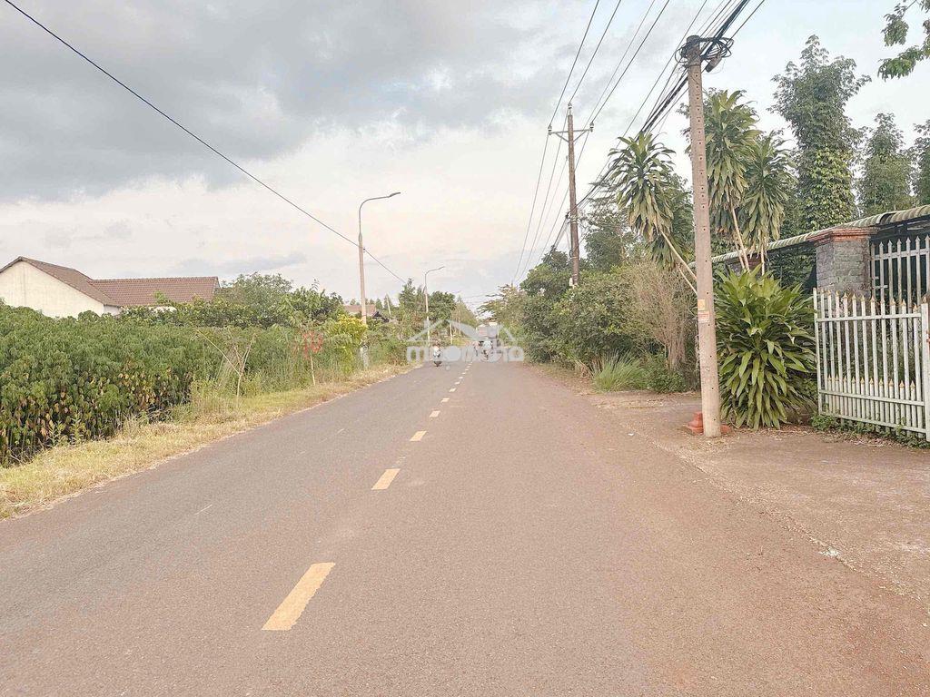 Mt xuân đông - xuân tây, cẩm mỹ, đồng nai - 3