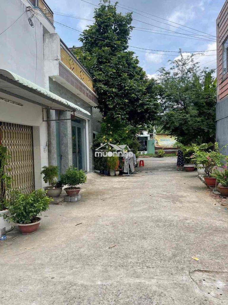 Căn hộ duplex ngay  trường tiểu học đông hoà