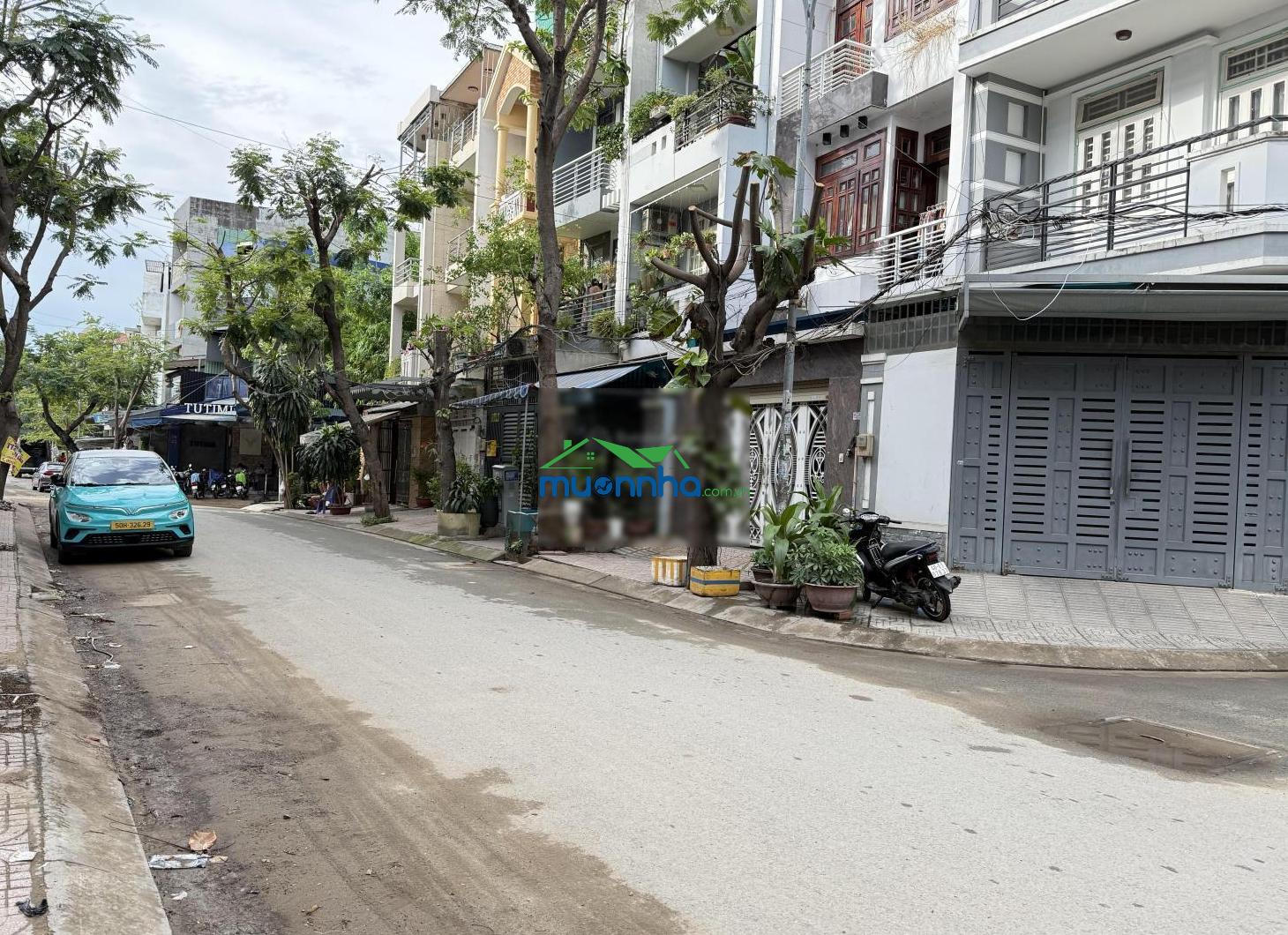 Hàng hiếm đặng thùy trâm nở hậu 10m, giá đầu tư