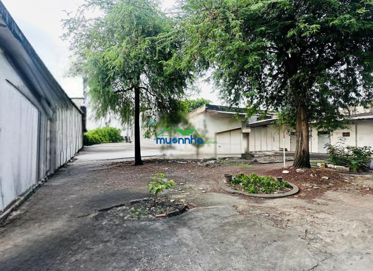 Quận 8, cần bán dãy trọ 2500m2 giá 70 triệu/m2 phú định, trương đình hội, an dương vương - 3