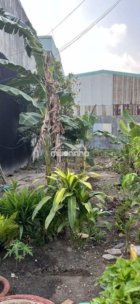 Cần bán đất 90 m2 tại kdc lavender tân triều - 3
