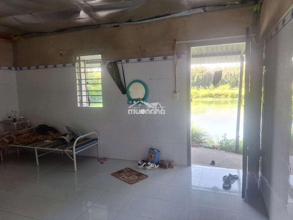 Riêng biệt như nhà nguyên căn dtsd 24m² trệt wc wiew hồ thoáng mát - 2