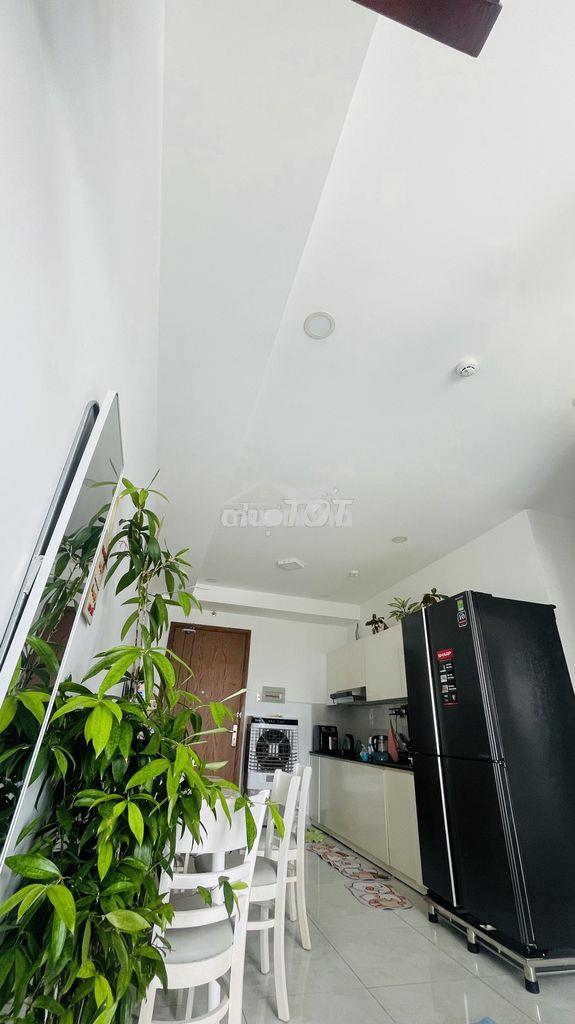 Chính chủ cho thuê căn 2 pn, 2wc, full nt, sát cầu nguyễn tri phương - 3