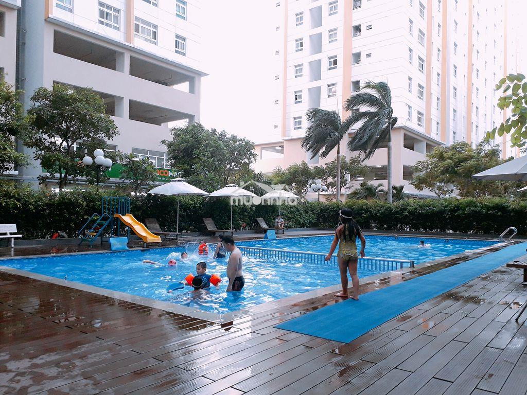 🎀Cho thuê căn hộ sunview town - bán kính 7-12km đến trung tâm🎍 - Ảnh 2