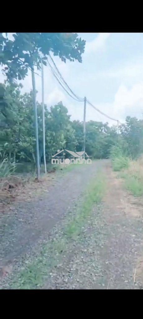Bán đất xuân định.xuân lộc.tp đồng nai.1.000m2 - 2