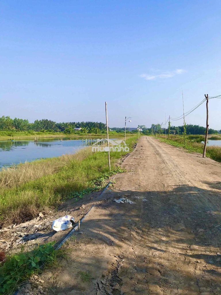 Bán đất 3000m2 ngang 60m đường xe 7 chỗ tại xã phước vĩnh đông - 2