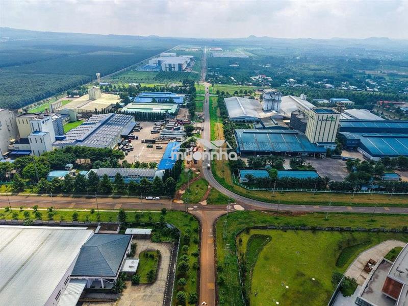 🏡 Ngộp nh cần bán gấp lô đất full thổ cư ngay phường dầu giây–tp đnai