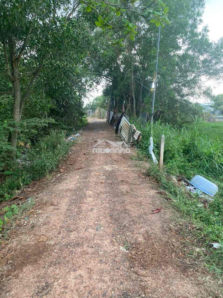 🌿 Bán đất cây lâu năm giá tốt đông thạnh, hóc môn - 2