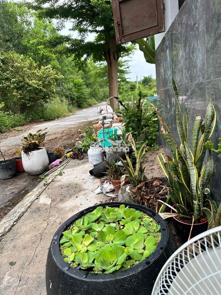 Khu dân cư biệt lập. 2 mặt tiền. yên tĩnh. cách ql13 100m - 2