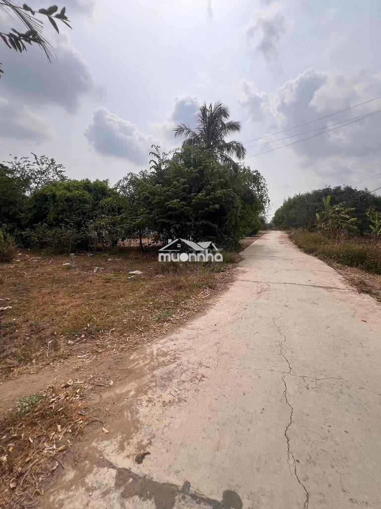 Chỉ 1.155k/m2 đất đường bê tông oto tận nơi tại xã tây ninh hoà - 2