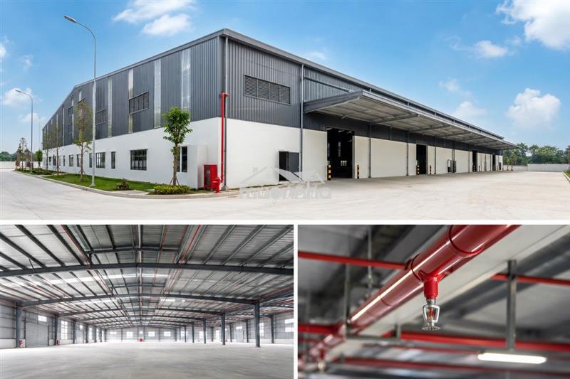Cho thuê kho - xưởng 1.000m² mới xây – pccc tự động – giá 65k/m²