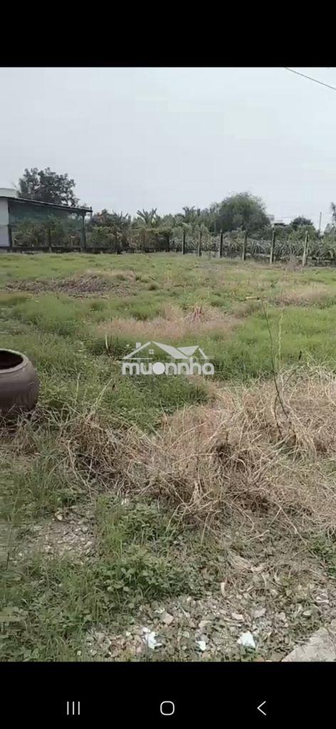 Bán 3,800m2 thổ + căn nhà 300m2, đường 5m, hiệp thạnh, c thành la - 2