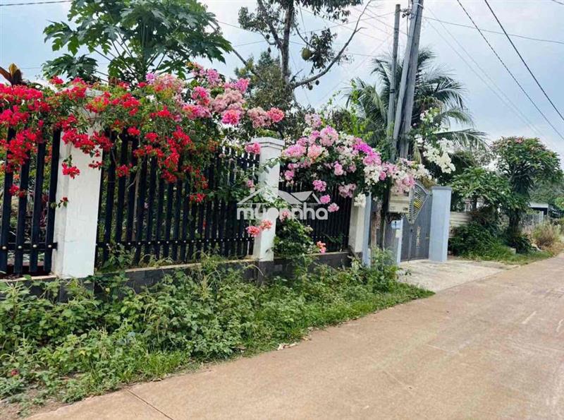 2 mt nhựa vị trí tại long khánh _ tp đồng nai
