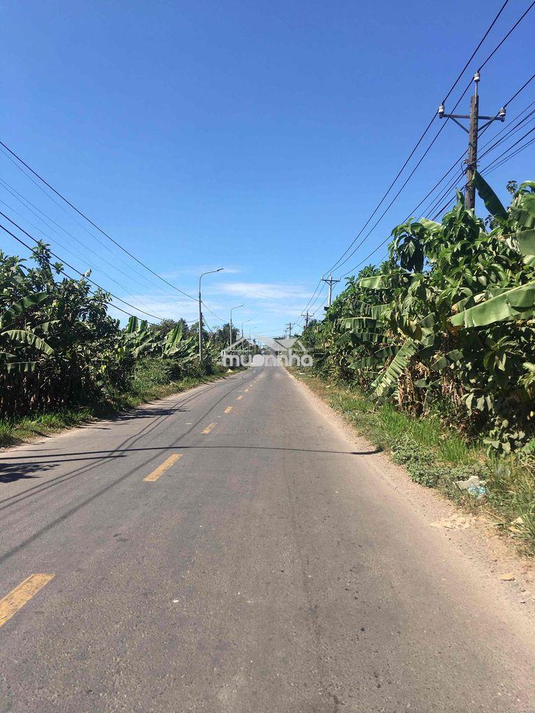 Bán đất xuân đông cẩm mỹ - 4