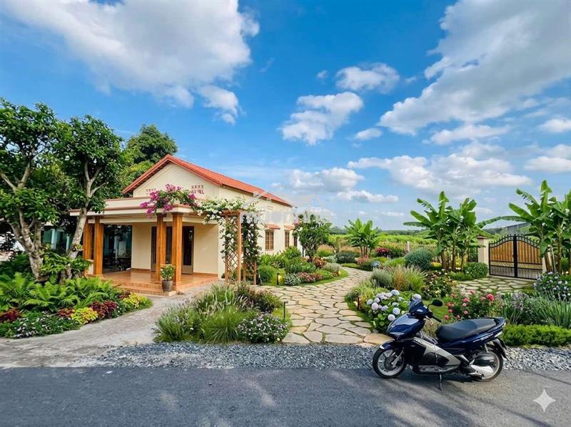 Bán 1ha đất mặt tiền đường nhựa tại xã phú hòa đông