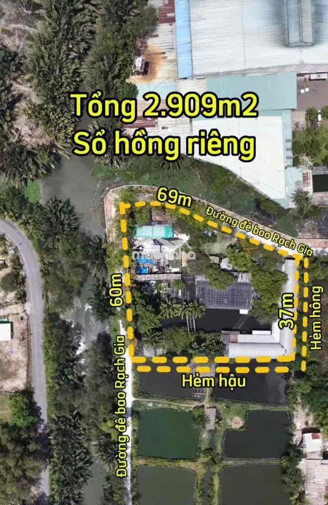 Bán đất thuộc x. hưng long, tp. hồ chí minh - 4