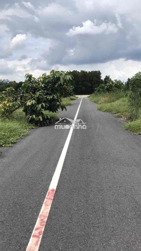 Bán đất thổ cư - 2