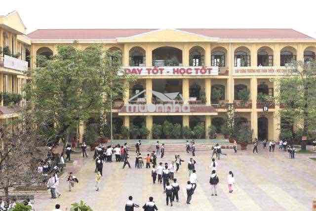 Kẹt vốn bán 1000m2 ngang 20x50 giá 550tr - 3
