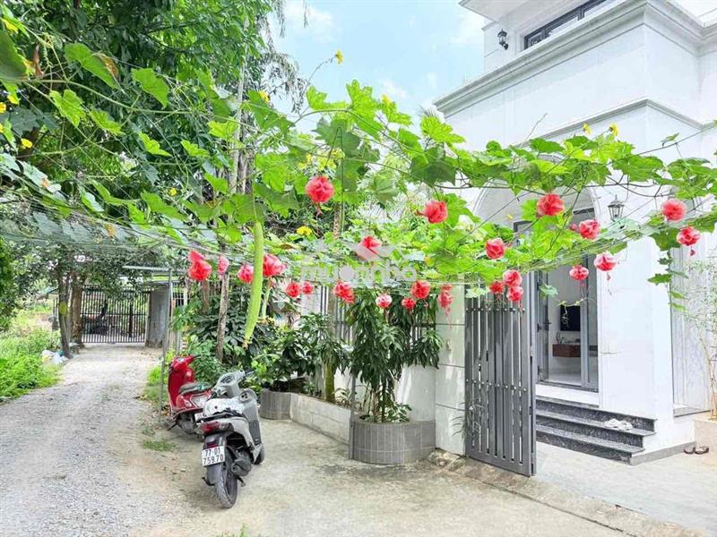 B.á.n g.ấp biệt thự mini 3 tầng-dt 212m2-bình nhâm-thuận an-chỉ 7 t.ỷ