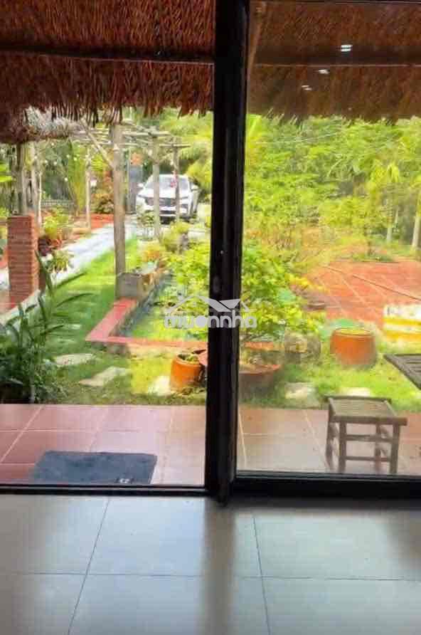 Gấp gấp nhà vườn an điền 15x52m.  thổ cư 200m2 sẵn nhà , cây ăn quả