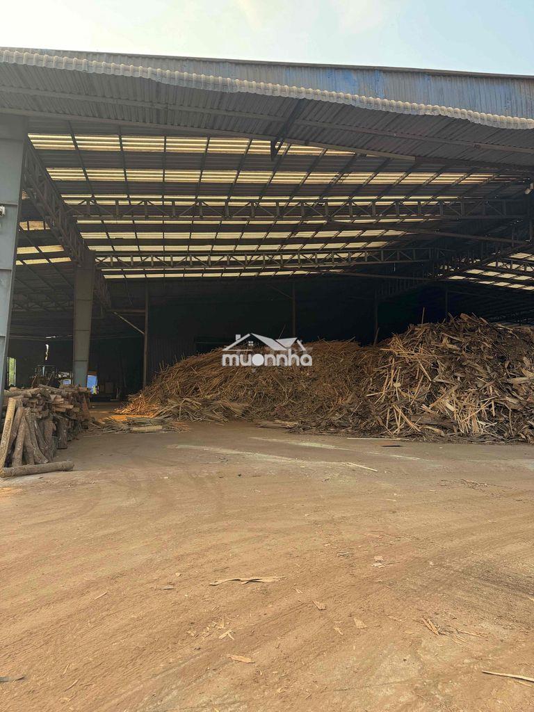 Cho thuê xương sản xuất viện nén phú giáo bình dương