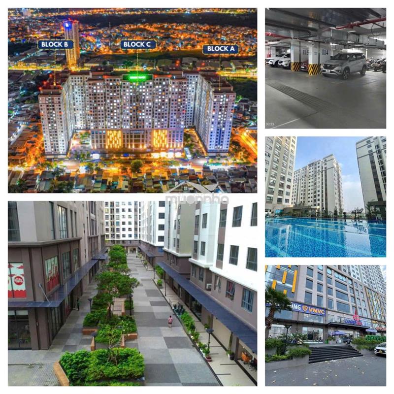 Bán ch green river quận 8, dt65m2 2pn 2wc đã có sổ, tầng đẹp, view mát