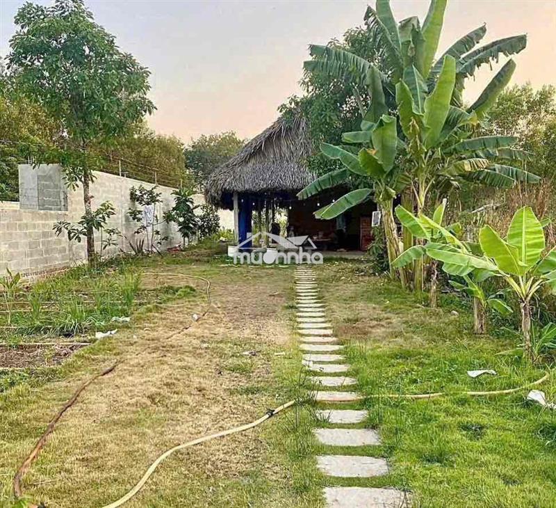 Bán đất vườn