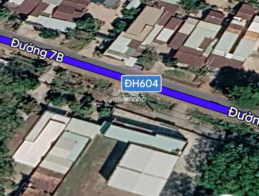 Kế đường dh604. lúc sốt 2,250 tỷ. cắt lỗ 500 triệu - 3
