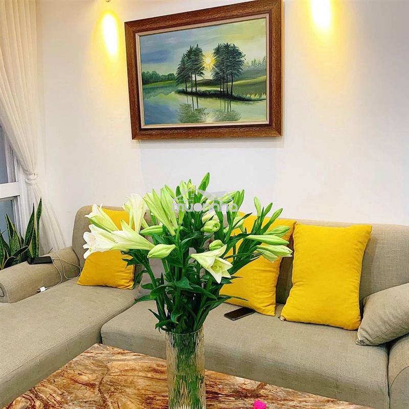 Cho thuê căn hộ remax plaza , q6